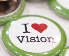 vision 7.3