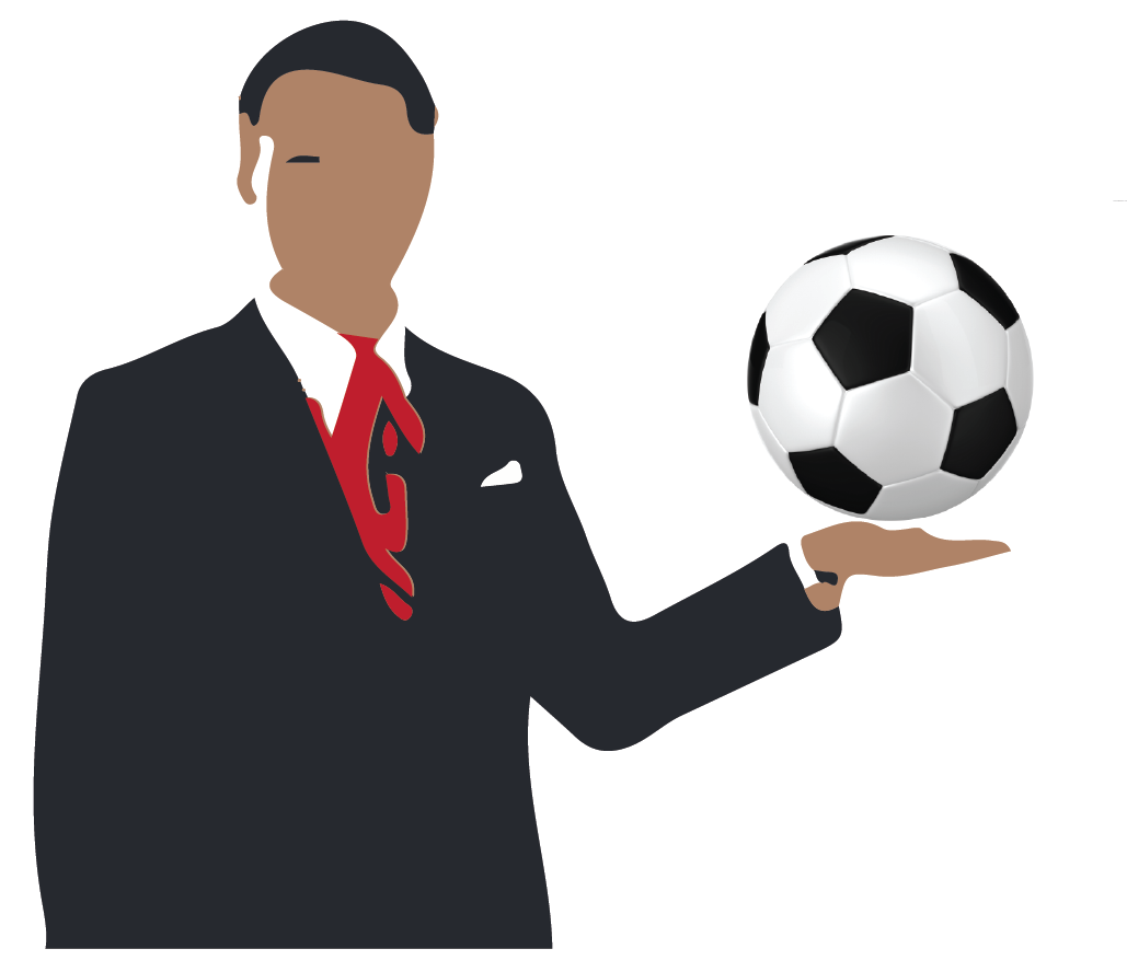 ERP Consulting