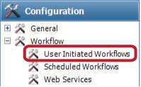 User Initiated Workflow