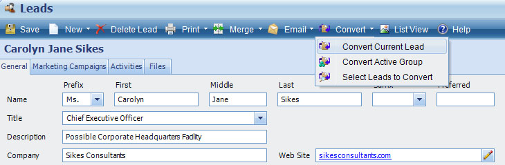 Deltek Vision CRM Lead Management