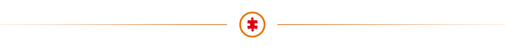 puzzle icon
